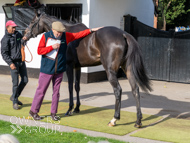 NH051025-24 - Ile de Jersey